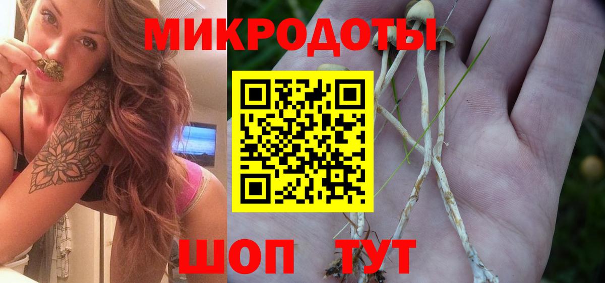 Кудымкар  Псилоцибиновые грибы прущие грибы  Псилоцибиновые грибы Psilocybine cubensis  Вход с VPN 